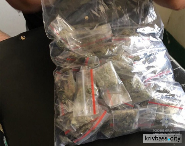 В Кривом Роге поймали парня с 50 пакетами наркотиков (ФОТО)