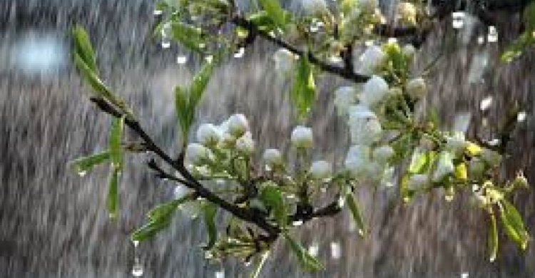 Погода в Кривом Роге на 13 мая: доставай тёплые вещи и зонт