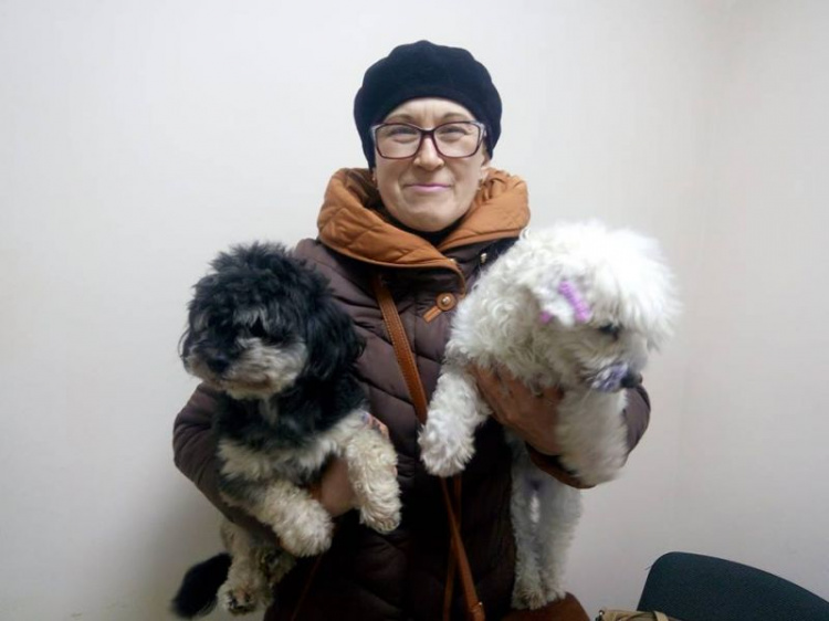 Жителей Кривого Рога приглашают "усыновить" бездомных собак
