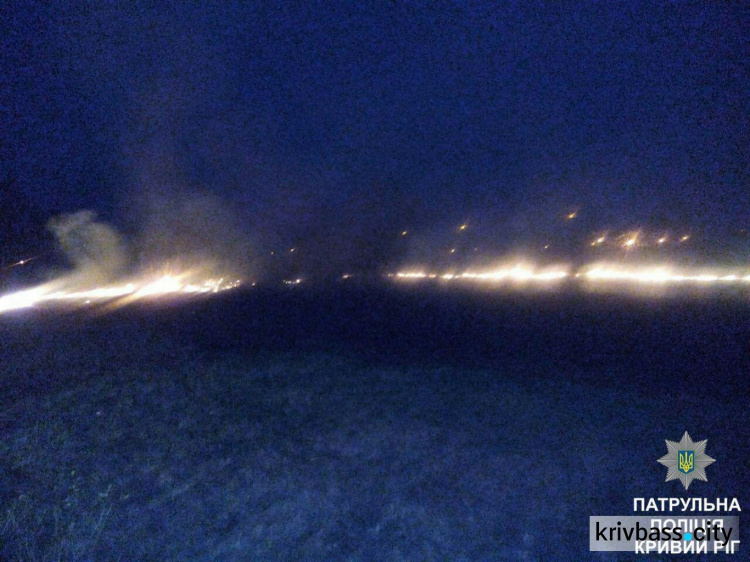 В Кривом Роге на территории больницы № 2 горела трава (ФОТО)