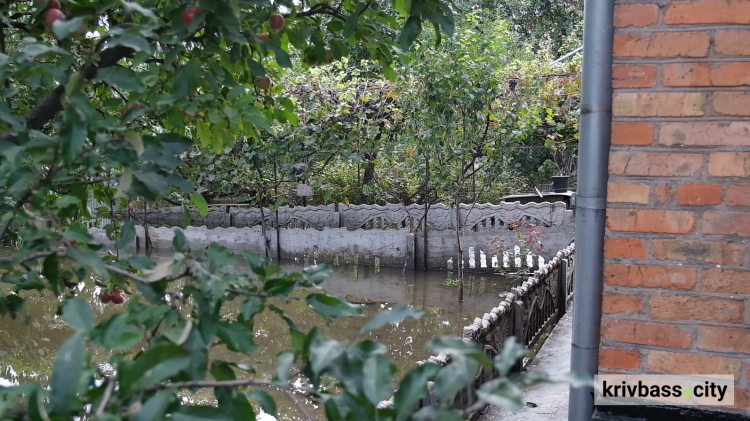 Щонайменше 89 домогосподарств зазнали збитків після паводку на річці Інгулець