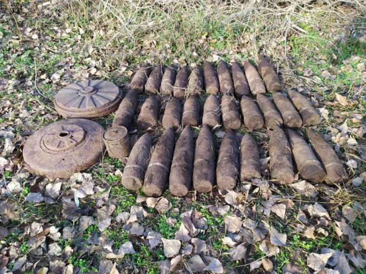 Привет из прошлого: в лесополосе Криворожского района обнаружили 32 боеприпаса (фото)