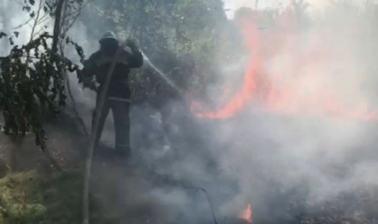В Кривом Роге между жилыми микрорайонами произошло масштабное возгорание (фото)