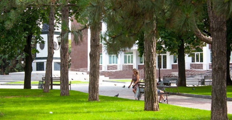 «Сочный» газон, удобные лавочки, подсветка: как выглядит обновленный сквер возле криворожской школы искусств (ФОТО)