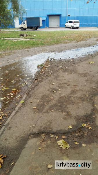 Жителям Покровского района Кривого Рога следует запастись водой (ФОТО)
