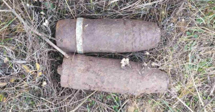Снаряд вместо грибов: недалеко от Кривого Рога обнаружили опасную находку (фото)