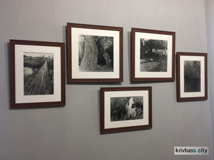 В Кривом Роге открылась выставка фотографий, сделанных священнослужителем (ФОТО)