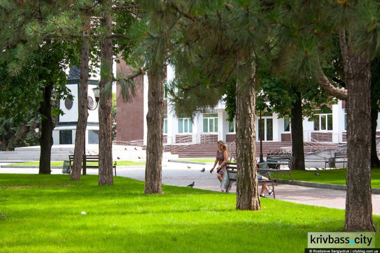 «Сочный» газон, удобные лавочки, подсветка: как выглядит обновленный сквер возле криворожской школы искусств (ФОТО)