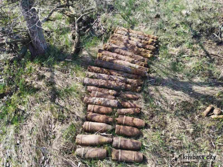 В Криворожском районе нашли и уничтожили 28 боеприпасов
