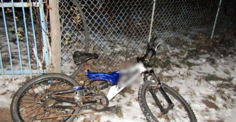 Житель Кривого Рога избил старушку за велосипед в Киевской области