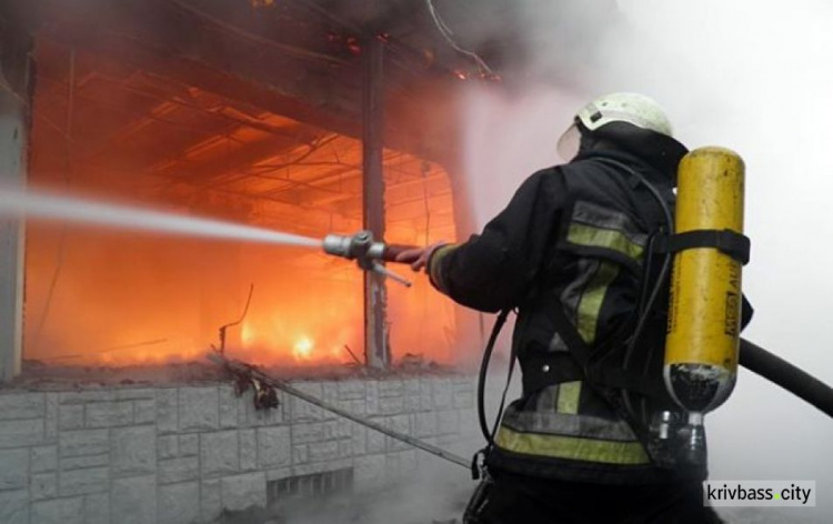 Пожар в Кривом Роге: в Терновском районе загорелcя дом