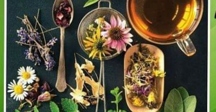 Исцеляющая сила растений и чайные композиции: криворожане могут посетить бесплатный мастер-класс