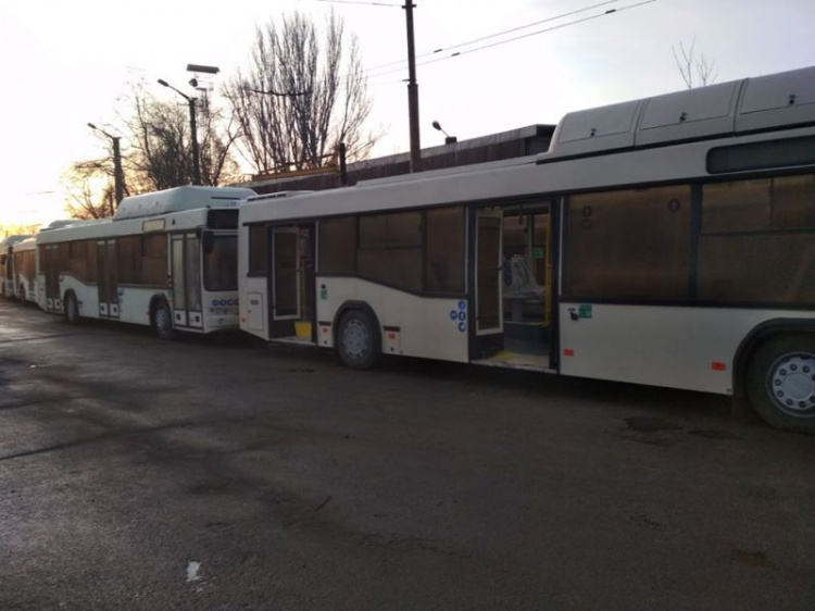 Автобусный парк Кривого Рога пополнился новыми "белорусами": известно, на каком маршруте они будут работать