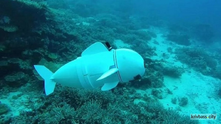 Рыба-робот будет шпионить за морскими животными (ФОТО+ВИДЕО)