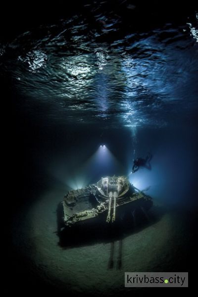 Эксперты выбрали лучшие подводные фото года