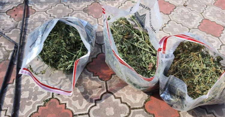 Протягом вихідних криворізькі поліцейські задокументували 55 наркозлочинів