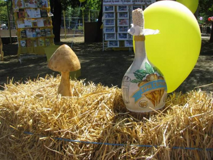 В Кривом Роге прошёл восьмой Фестиваль мёда (ФОТО)