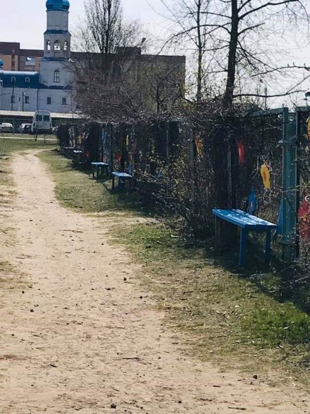 Новые скамейки, молоденькие деревца: в самом активном районе Кривого Рога продолжается благоустройство (фото)