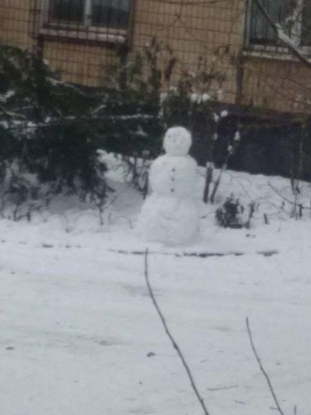 В Кривом Роге жители хвастаются, чей снеговик краше (фото)