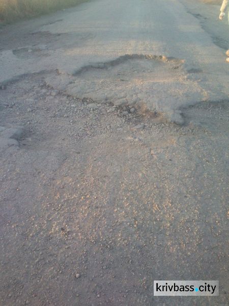 Яма на яме: поможет ли обращение криворожанина отремонтировать дорогу в районе села Лозоватка (ФОТОФАКТ)