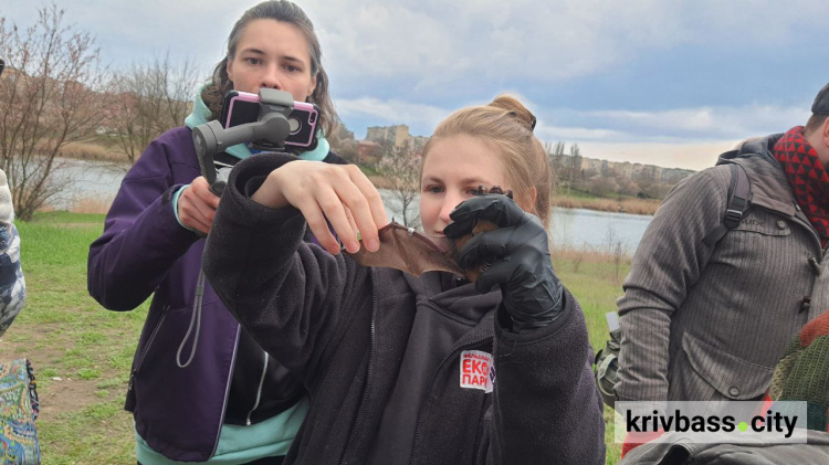 Волю криворізьким кажанам: волонтери випустили в природу кажанів, яких прихистили на зимівлю