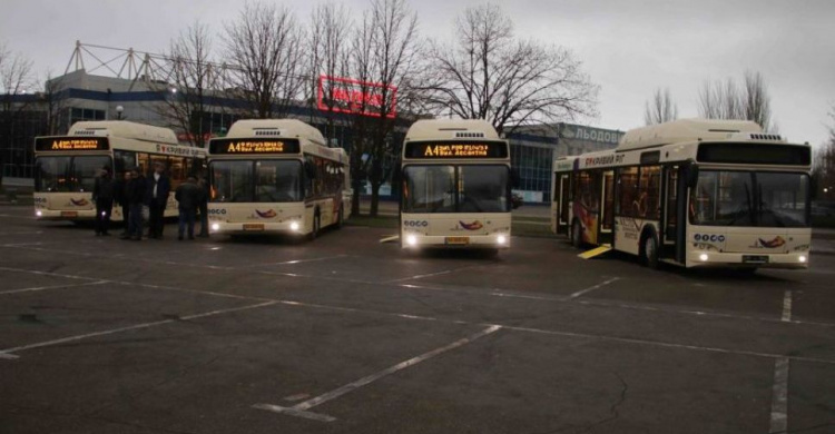 Криворожский коммунальный автобус не может проехать по кольцу из-за скопившихся маршрутных такси