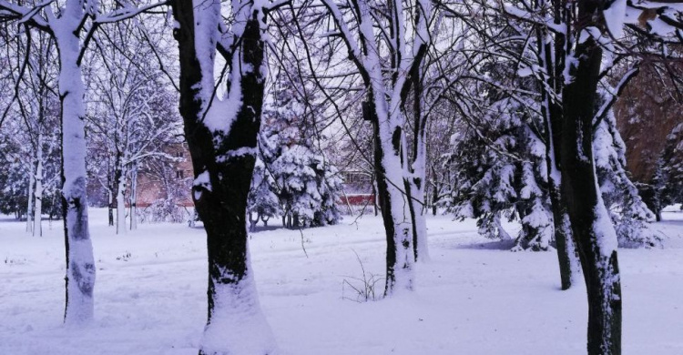 Борьба с непогодой: на улицах Кривого Рога работали 24 единицы снегоуборочной техники