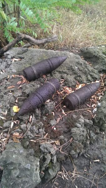 Под Кривым Рогом за три дня обнаружили 8 боеприпасов (ФОТО)