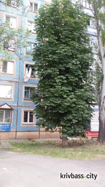 В Покровском районе Кривого Рога женщина решила выпрыгнуть с третьего этажа (ФОТОРЕПОРТАЖ)