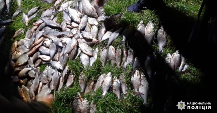 Незаконний вилов риби: на Дніпропетровщині затримали двох чоловіків
