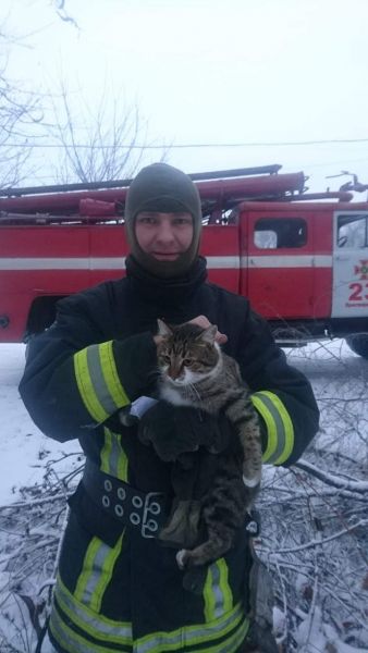 Пожарными в Криворожском районе была проведена спасательная операция (фото)