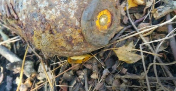 В Кривом Роге грибник нашел в посадке минометную мину (ФОТО)