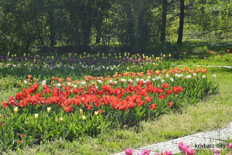 Весна у ботанічному саду: красива і ароматна