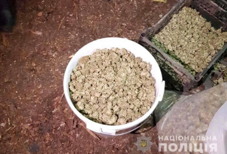 В Кривом Роге выявили "цех" и изъяли 23 килограмма марихуаны (фото) 