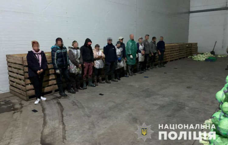 На Дніпропетровщині припинили діяльність ферм, де задарма працювали безхатченки