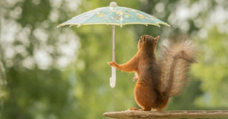Готовим зонтик: какой будет погода в Кривом Роге