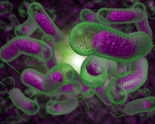 Фото Дніпропетровського обласного ЦКПХ