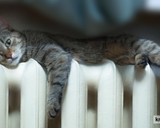 Фото krivbass.city