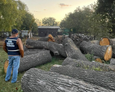 Нарізали дерев на мільйон гривень: на Дніпропетровщині затримали банду &quot;чорних лісорубів&quot; яка складалася з залізничників