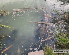 Фото krivbass.city