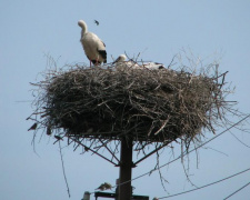 Фото ДТЕК Дніпровські електромережі