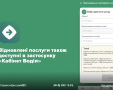 Номерні знаки без візиту до сервісного центру: послуга знову доступна онлайн