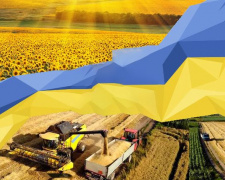 Врожай, фото з відкритих джерел 