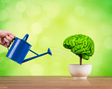 Мозок не старіє: як тренувати пам’ять у будь-якому віці - фото з відкритих джерел