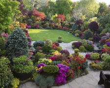 Осіння посадка: які цибулинні квіти варто висадити у жовтні - фото з відкритих джерел