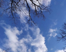 Фото ілюстративне з відкритих джерел  