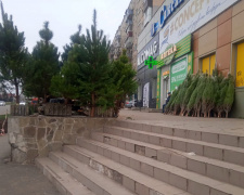 Фото krivbass.city