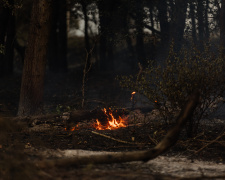 Екосистеми Дніпропетровщини палають, фото пресслужби Дніпропетровської ОВА