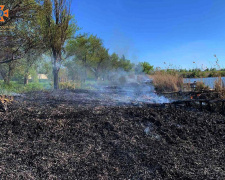 У Покровському районі сталася пожежа біля водойми: постраждали дві дитини