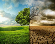 Фото ілюстративне з відкритих джерел     